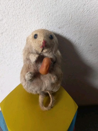 Ancienne souris naturalisée - souris,