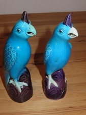 Paire D'oiseaux Perroquets