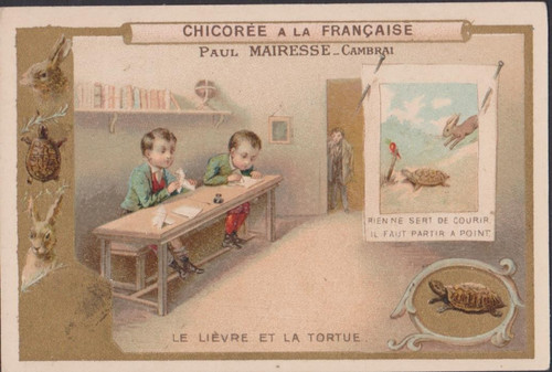 Chromo chicoree francaise - chicoree,