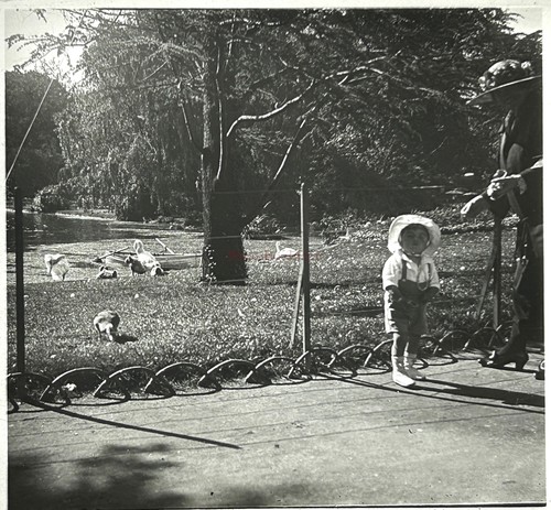 Vie famille parc enfant - de,