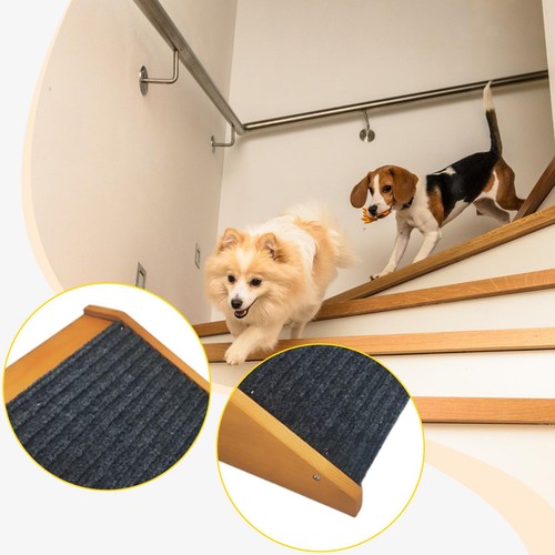 Rampe pour chien chat - pour,