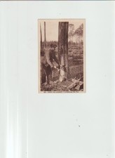 cartes postales anciennes