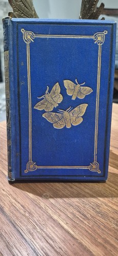 Common british moths - common,