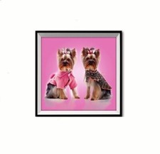 Cadre tableau Chien Chiot Yorkshire humour - 3D relief - 33 x 33 cm - animal