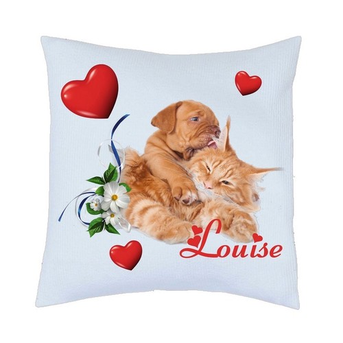 Coussin chat chien mignon - chat,