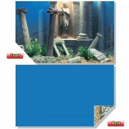 Poster fond aquarium - poster,