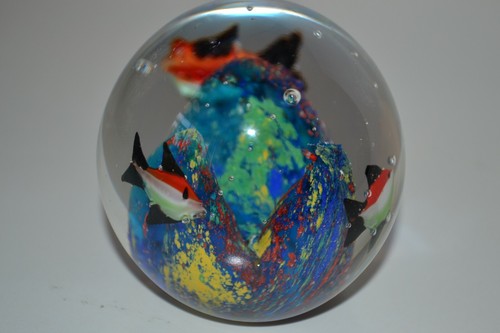 Art glass coral - art, fish