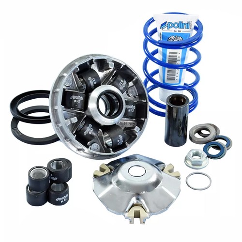 Variateur polini speed - polini, evo