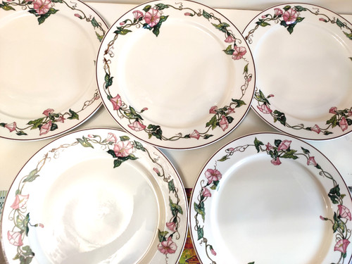 Assiettes plates villeroy - 5,