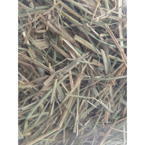 Foin alpage pomme betterave - foin, alpage,