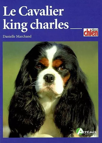 Cavalier king charles - king,