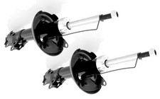 Deux Amortisseurs Gaz Avants