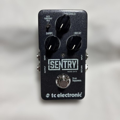 Electronic sentry noise - electronic,