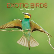 OISEAUX EXOTIQUES - CALENDRIER MURAL 2026 - NEUF - 223719
