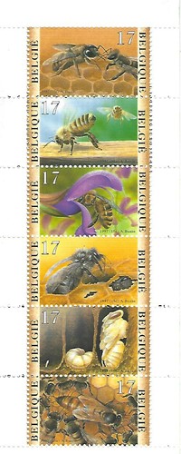 Belgique belgium yvert c - n°,