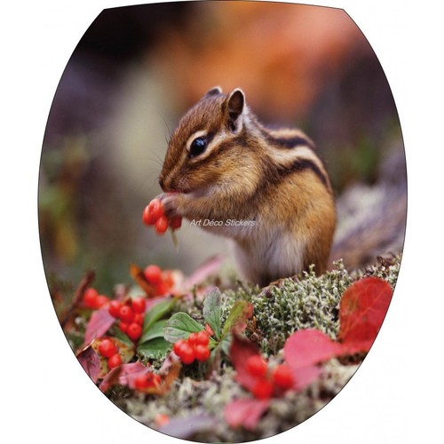 Sticker pour - sticker,