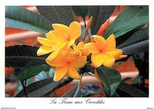 26 - Pierrelatte - La Ferme