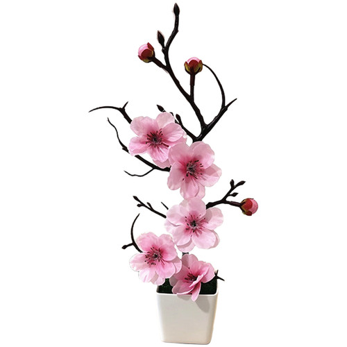 Plante fleur prunier - fleur,