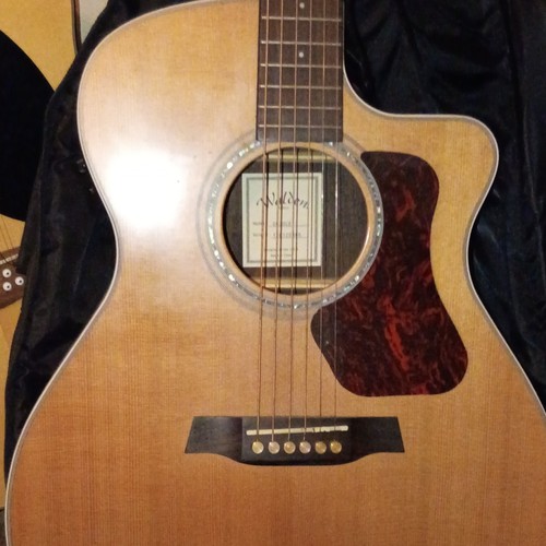 Walden string grand - walden, 6-string