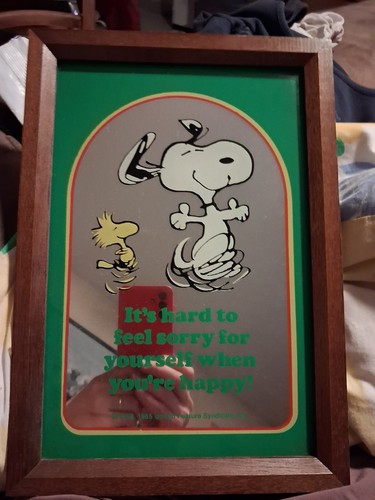Cadre miroir mural - miroir, peanuts