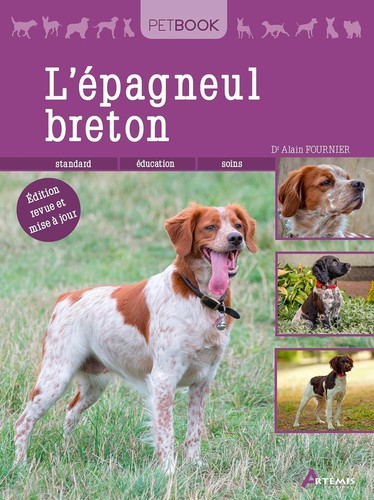 Epagneul breton artemis - l'epagneul,
