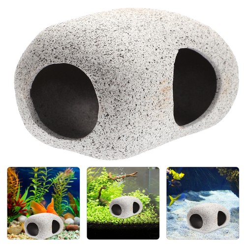Grotte élevage poissons - d'élevage,
