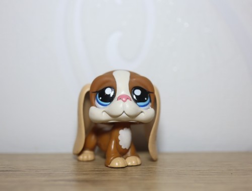 Littlest petshop basset - petshop,