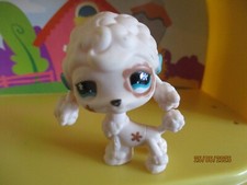 Petshop dog poodle #730 / with magnet