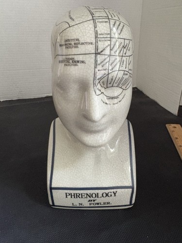Phrenology porcelain crackle - phrenology,