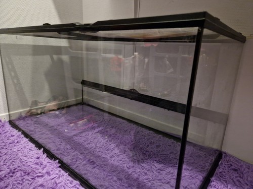 Terrarium reptile - terrarium,