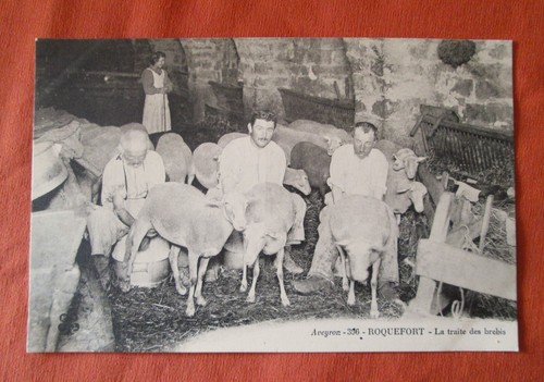 Cpa animée aveyron la - animée.,