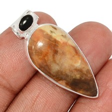 Natural Petrified Wood (Araucaria) Navajo County 925 Silver Pendant CP61768