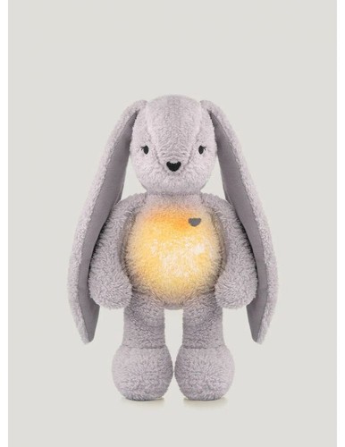 Lapin ours colibri - lapin, lampe