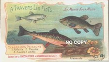 Chromo Chocolat d'Aiguebelle - Underwater World: ABLETTE TANCHE SALMON CHAR