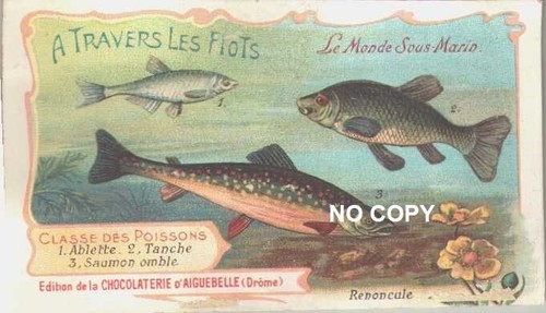 Chromo chocolat aiguebelle - chromo, d'aiguebelle