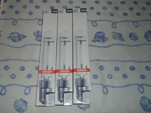 Lot lampe sodium - lampe,