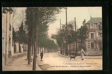 Old postcard Parc-Saint-Maur, Avenue du Grand Chêne 