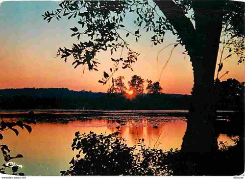 Carte postale sologne - 41,