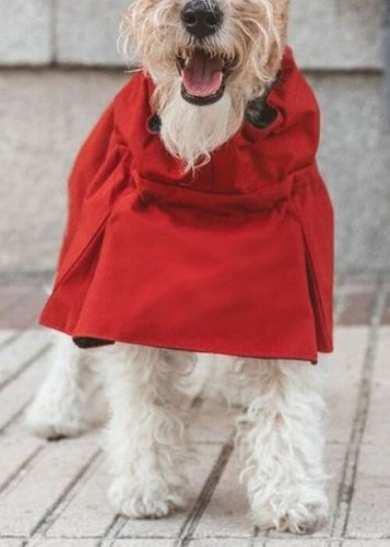 Manteau pluie imperméable - manteau,