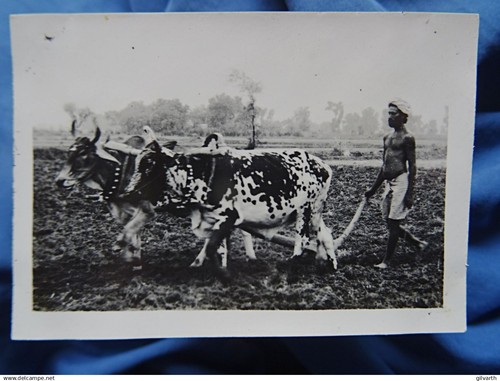 Photo inde india - photo, inde,