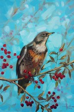 Grive chantre, peinture à
