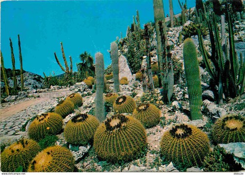 Carte postale fleurs - carte,