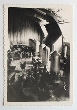 Poulailler poules pondeuses