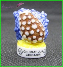 Feve Les coquillages Shell
