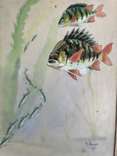 1940 Antique Painting Fish Watercolor Painting Painting