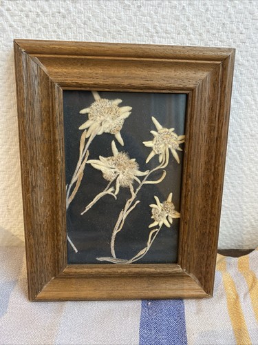 Ancien cadre bois - cadre,