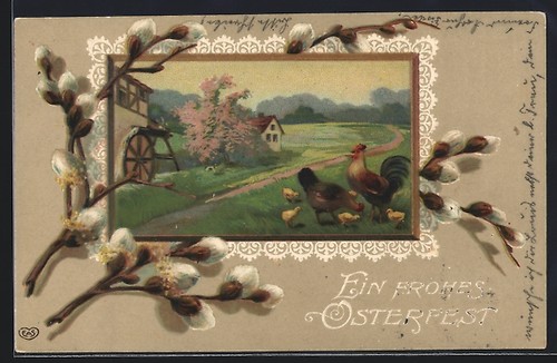 Carte postale relief coq - relief,