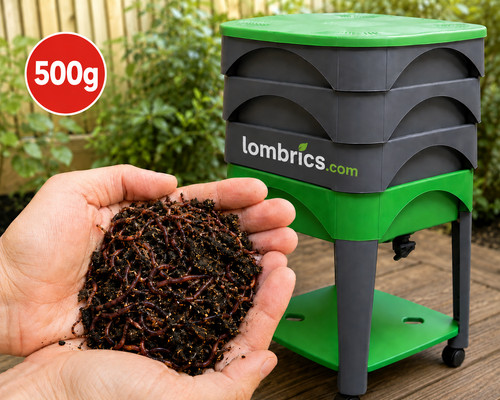 Lombrics 500g vers de terre - lombrics, |