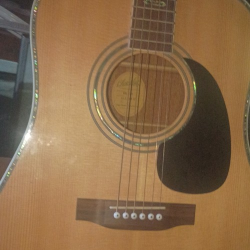 Blueridge dreadnought - blueridge, br-70