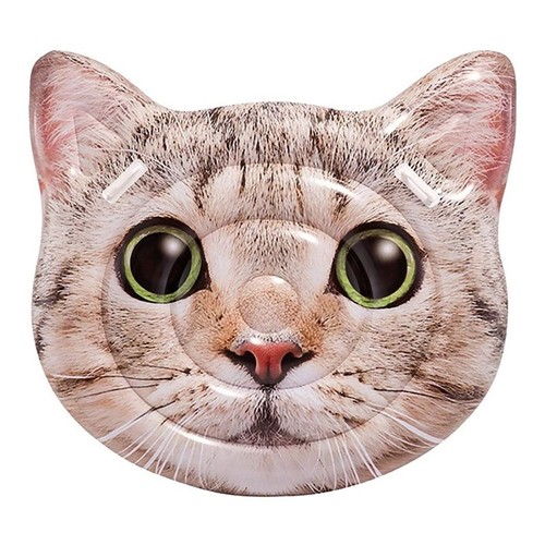 Matelas gonflable ile chat - ile,